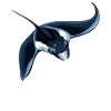 Mantas Manta Rochen