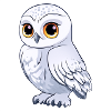 White Owl