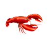 Crawfish Gifts