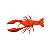 Crawfish Gifts