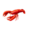 Crawfish Gifts