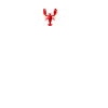 Crawfish Gifts