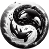 Yin and Yang Orca