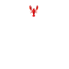 Crawfish Gifts