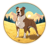 Pitbull American Bully