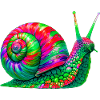 Snail