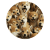 Shiba Inu