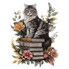 Katze