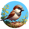Sparrow on a branch
