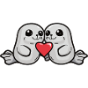 Couple de phoques Saint-Valentin