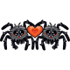 Tarentule araignée couple Saint-Valentin