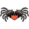 Tarentule araignée couple coeur