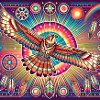 Falcon power animal