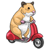 Hamster Scooter