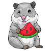Hamster Pastèque