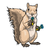 Squirrel Dart Dart