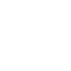Patterdale Terrier