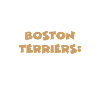 Boston Terrier