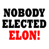 nobody elected elon