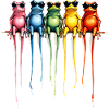 Grenouilles arc-en-ciel cool