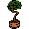 Small Tree Bonsai