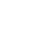 Bitcoin to the moon