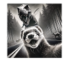 Ferret
