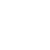 Arachnoholic big hairy tarantula silhouette