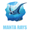 Raies manta Raies manta