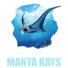Manta Rays Manta Rays