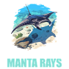 Manta Rays Manta Rays