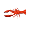Crawfish Gifts