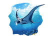 Mantas Manta Rochen
