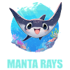 Raies manta Raies manta