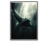 Mantas Manta Rochen