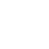 Klee Kai d'Alaska