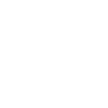 Jack Russell Terrier