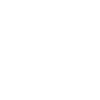 Brunswick BS-Town