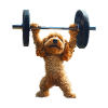 Cocker Spaniel