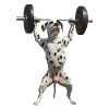 Dalmatiner