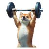 Shiba Inu