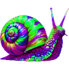 Snail