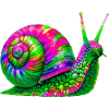 Snail