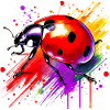 Ladybird