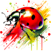 Ladybird