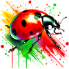Ladybird