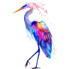 Reiher Vogel