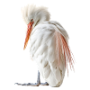 Reiher Vogel