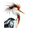 Reiher Vogel