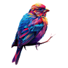 Finch Bird